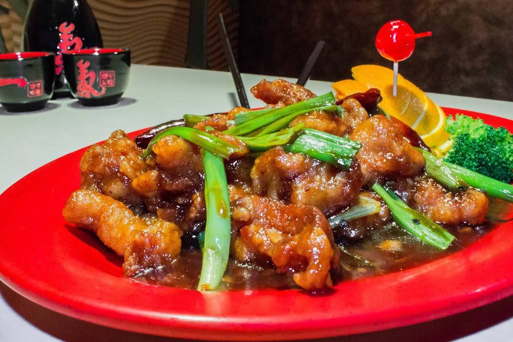 Hunan Palace | restaurant | 3737 N Mesa St D, El Paso, TX 79902, USA | 9153002078 OR +1 915-300-2078