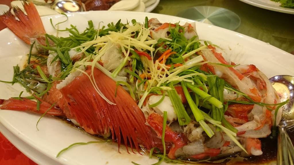 New Fusion | restaurant | 1227 S Baldwin Ave, Arcadia, CA 91007, USA | 6268210899 OR +1 626-821-0899