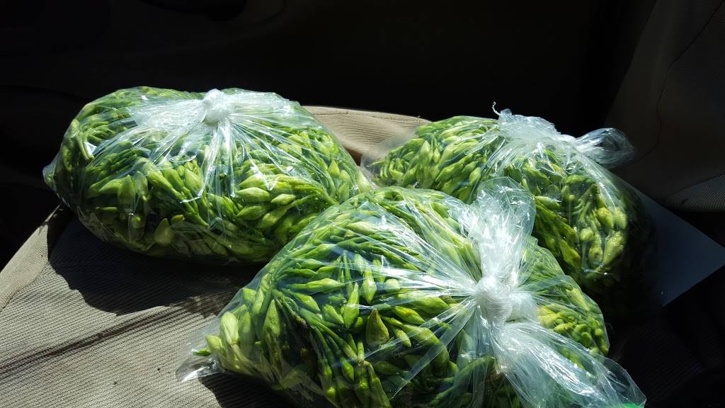 Vidal Produce Wholesale | meal takeaway | 2401 E 27th St, Vernon, CA 90058, USA | 3235871072 OR +1 323-587-1072