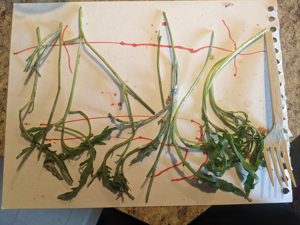 CAVA | restaurant | 3644 King St, Alexandria, VA 22302, USA | 5713708061 OR +1 571-370-8061