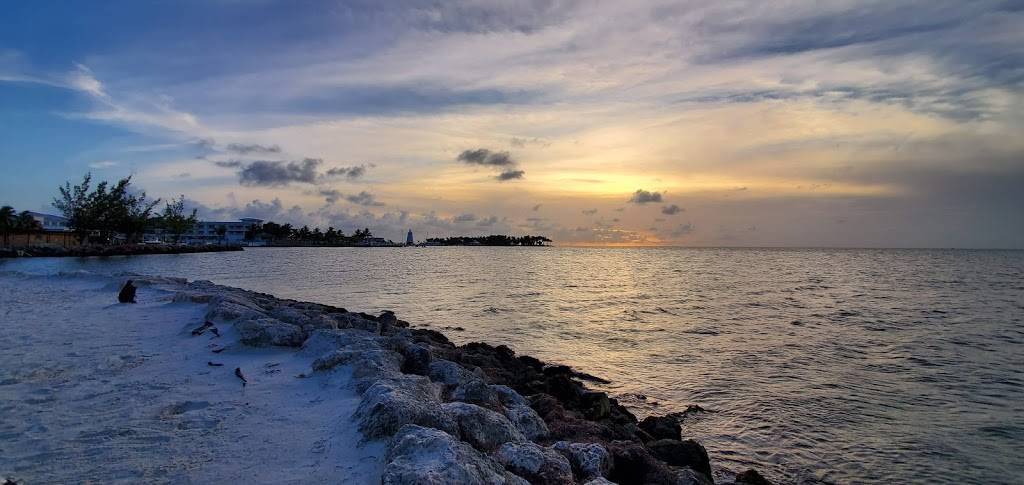 TJs Tiki Bar | restaurant | 2600 Overseas Hwy, Marathon, FL 33050, USA | 3052890888 OR +1 305-289-0888