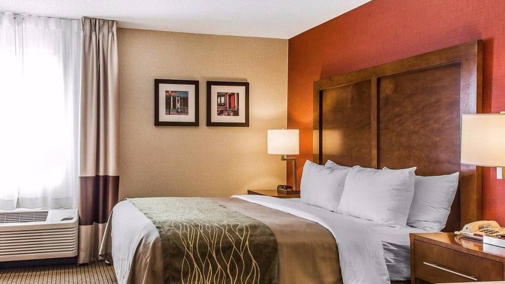 Comfort Inn | restaurant | 900 Morrissey Blvd, Boston, MA 02122, USA | 6172879200 OR +1 617-287-9200