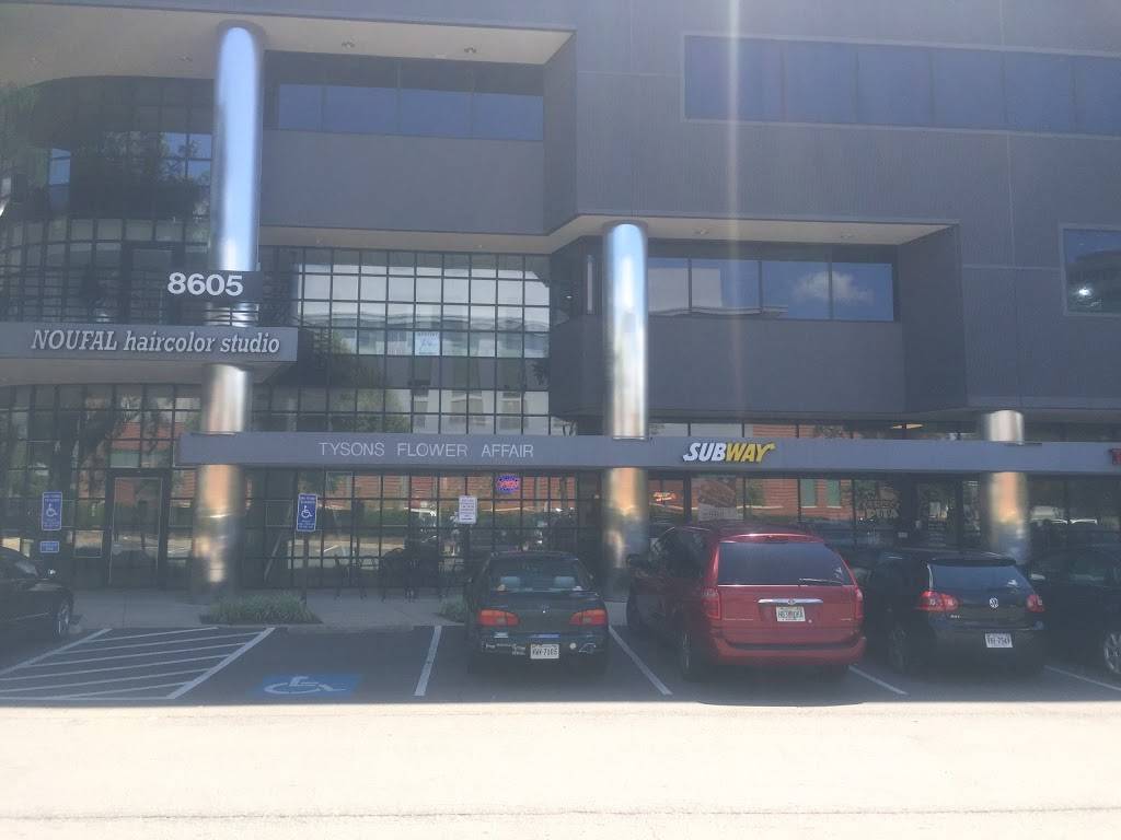 Subway | restaurant | 8605 Westwood Center Dr Suite 140, Tysons, VA 22182, USA | 7036638555 OR +1 703-663-8555