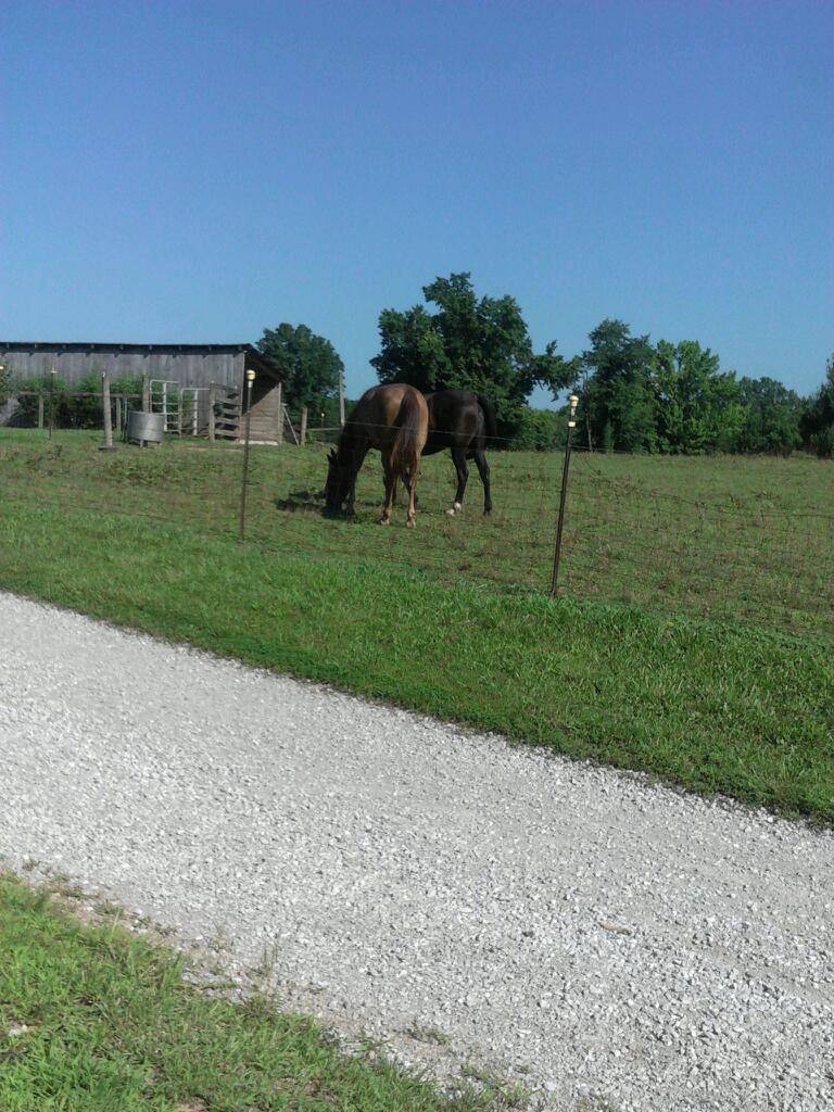 Subway | restaurant | 13615 Blue Lick Rd, Memphis, IN 47143, USA | 8122941379 OR +1 812-294-1379