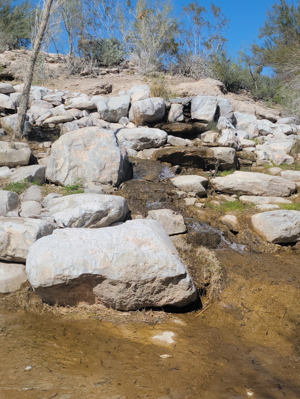 Rock Springs Café | restaurant | 35900 Old Black Canyon Hwy, Black Canyon City, AZ 85324, USA | 6233745794 OR +1 623-374-5794