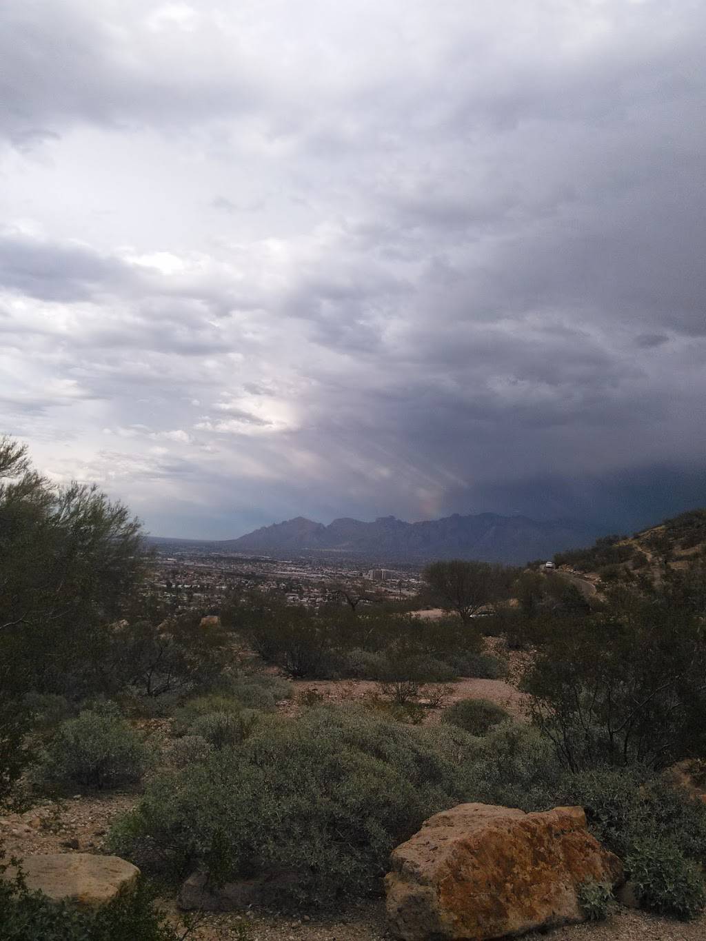 Viva Burrito Co | restaurant | 1372 W St Mary’s Rd, Tucson, AZ 85745, USA | 5206235211 OR +1 520-623-5211