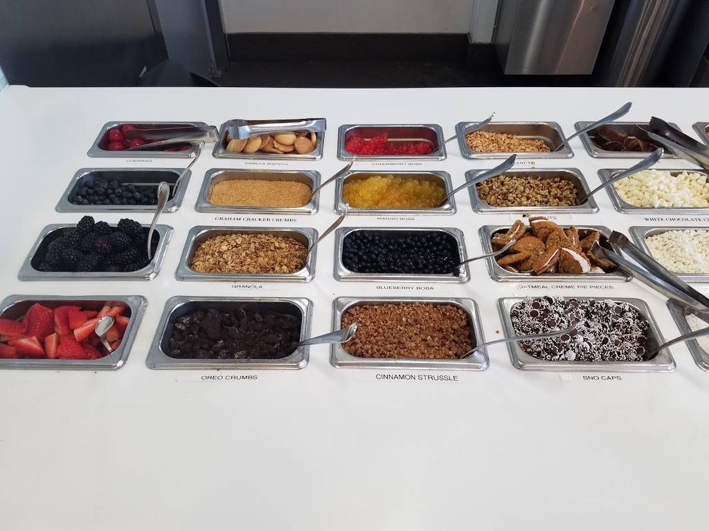 Yogurtology | restaurant | 5017, 1202 S Church Ave suite c, Tampa, FL 33629, USA | 8132512717 OR +1 813-251-2717