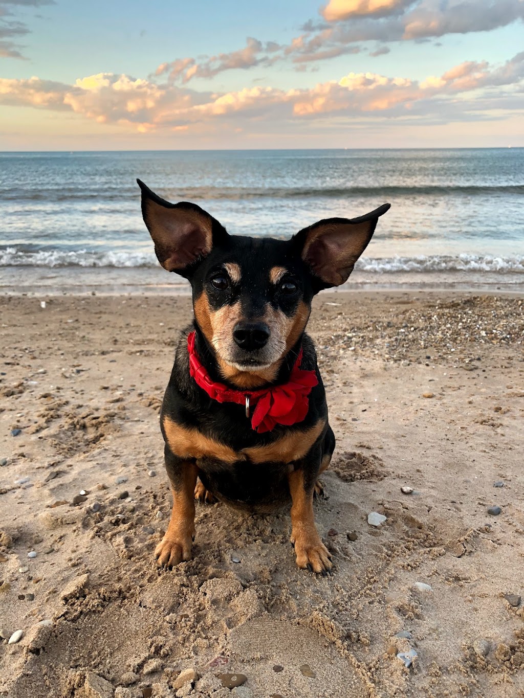 Lakebreeze Cafe | restaurant | 5800 N Lake Shore Dr., Chicago, IL 60660, USA | 7736734206 OR +1 773-673-4206