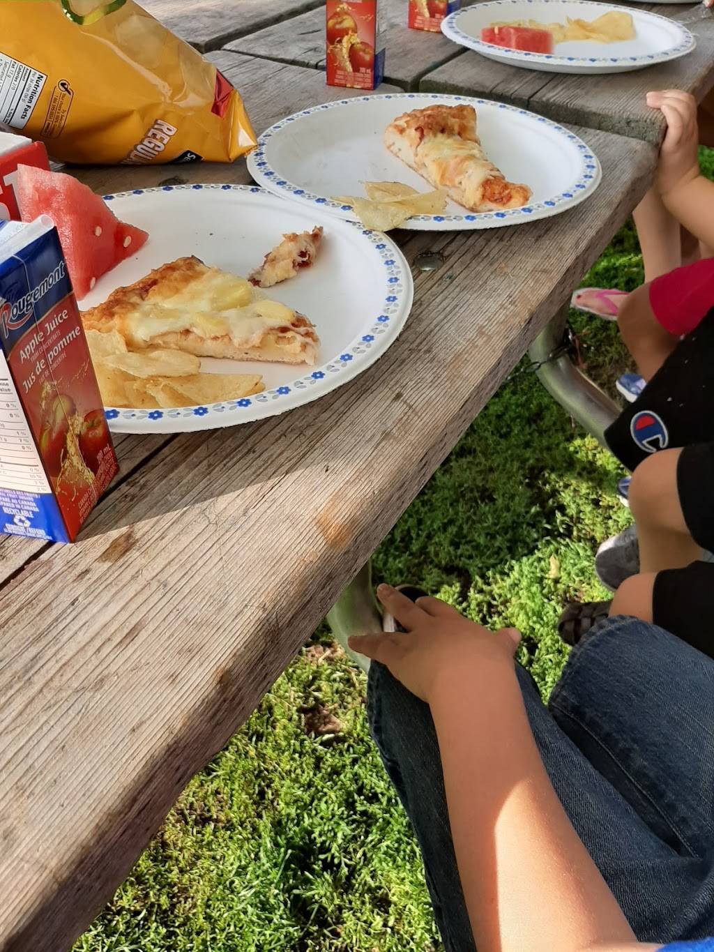 Willys Pizza | restaurant | 1541 Merivale Rd, Nepean, ON K2G 5W1, Canada | 6137231234 OR +1 613-723-1234