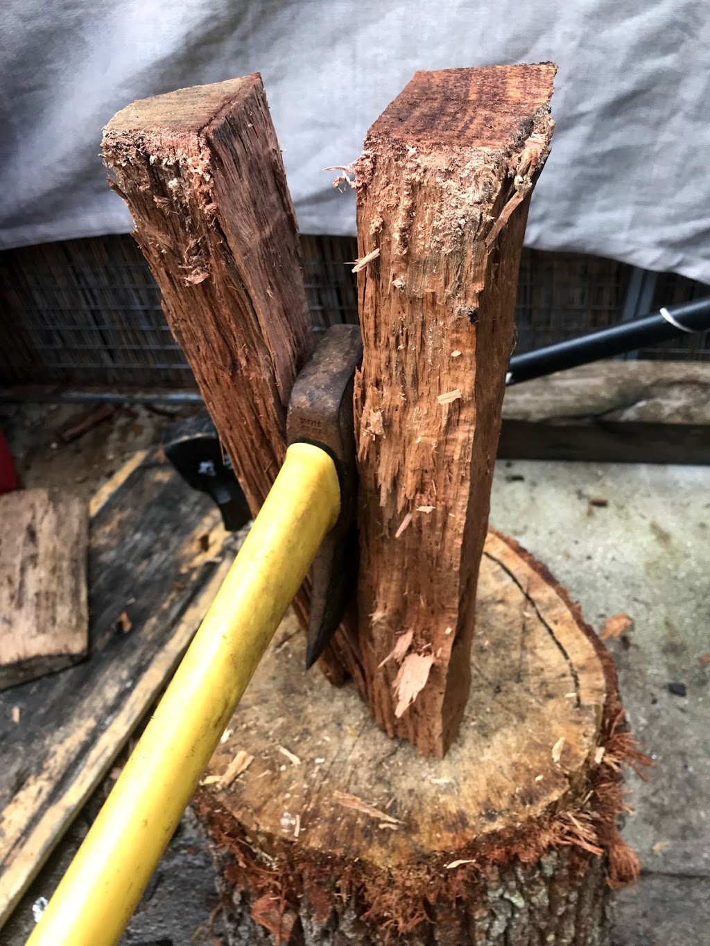 Wholly Cow BBQ | restaurant | 3080 Sheridan St #348, Hollywood, FL 33021, USA | 3057850575 OR +1 305-785-0575