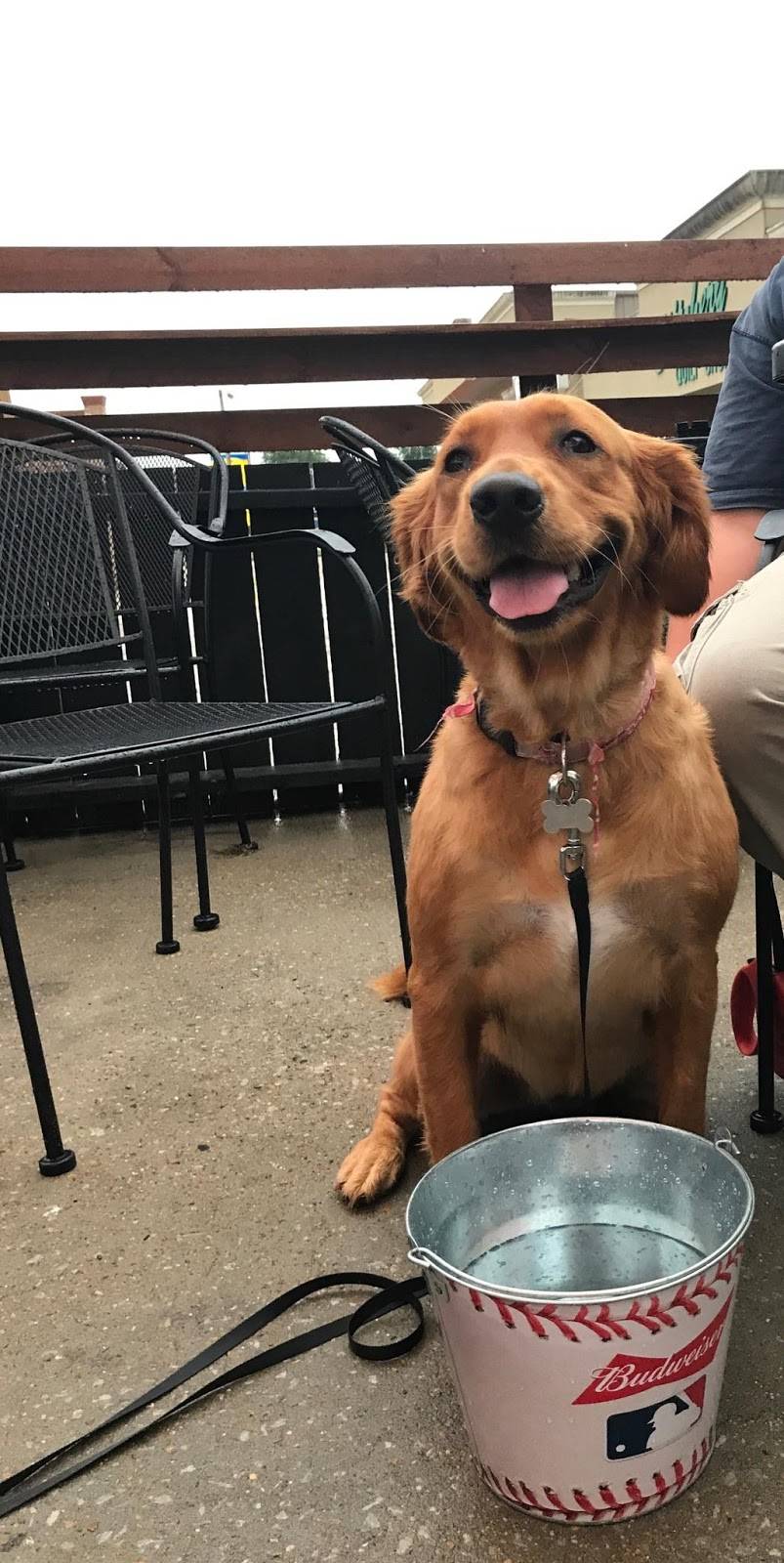 Tappd | restaurant | 2695 Lake Rd, Dyersburg, TN 38024, USA | 7313255469 OR +1 731-325-5469