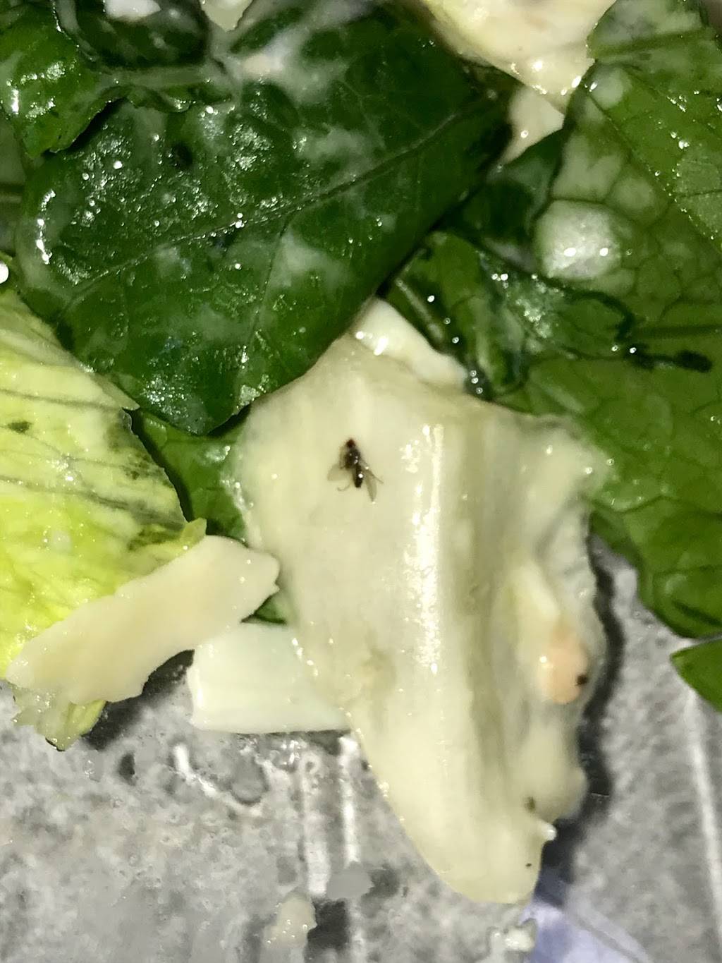 Wendys | restaurant | 7407 Strawberry Plains Pike, Knoxville, TN 37924, USA | 8659336914 OR +1 865-933-6914