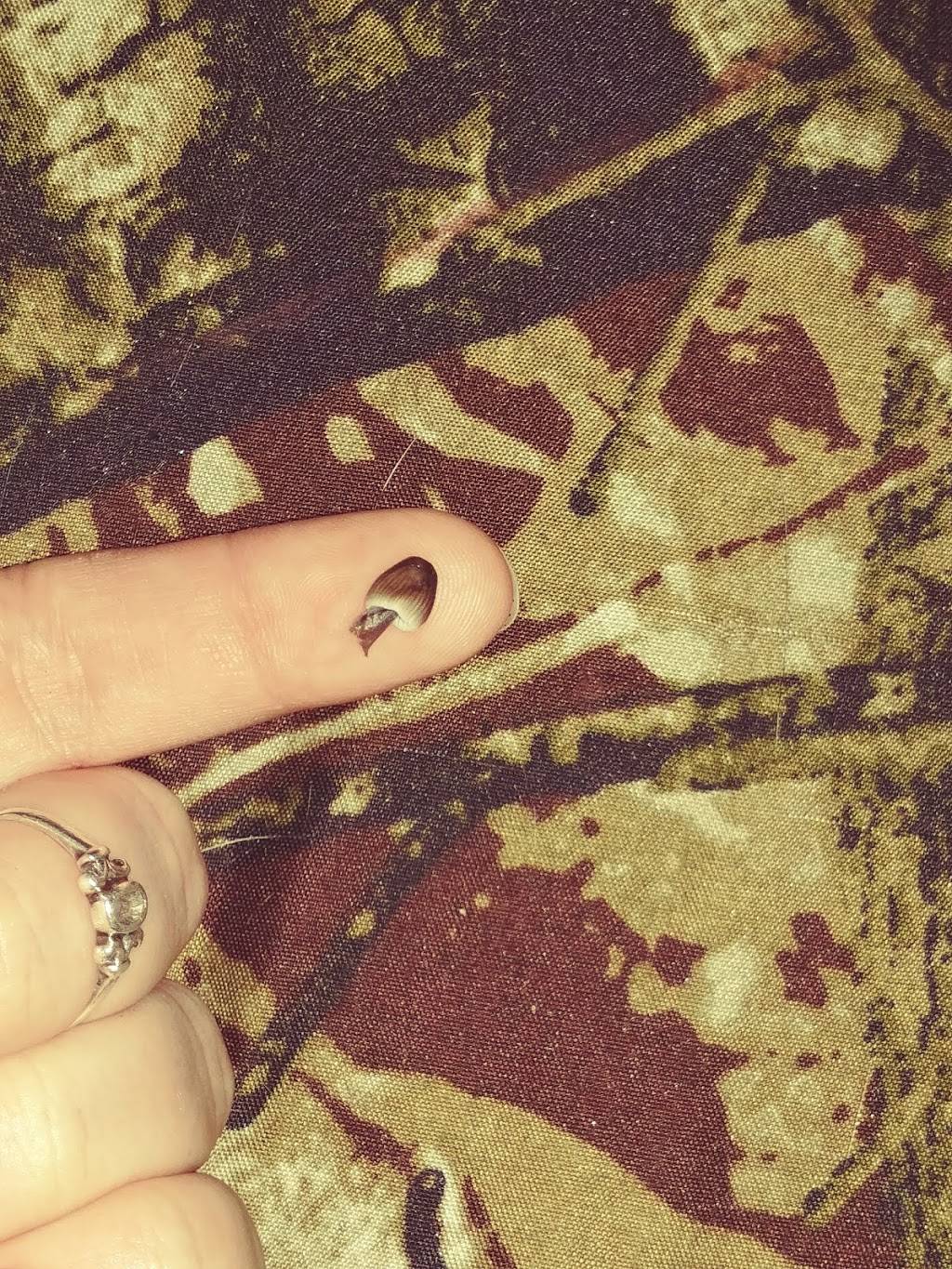 Jack in the Box | restaurant | 4384 Commerce St, Eugene, OR 97402, USA | 5413434114 OR +1 541-343-4114