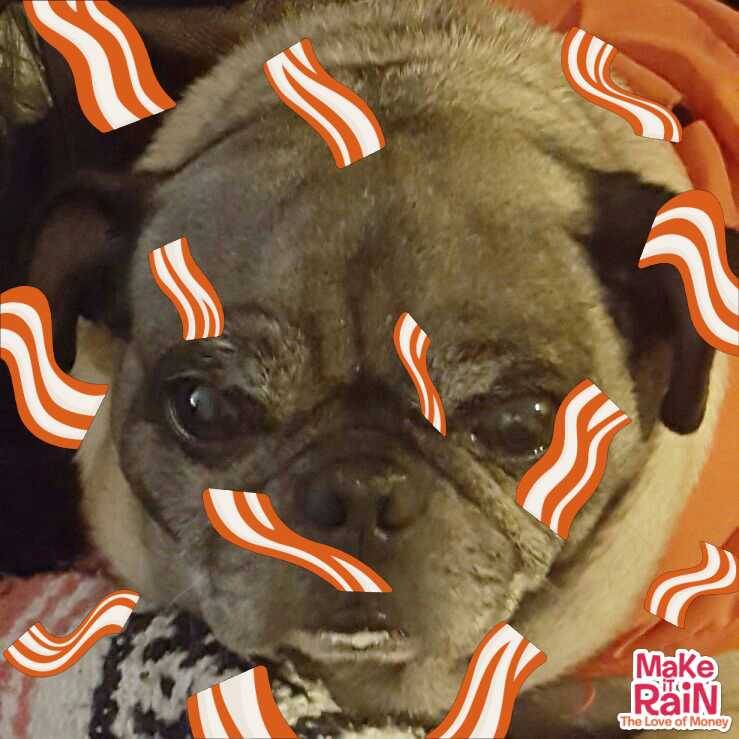 A&W | restaurant | 1707 E Fowler Ave, Tampa, FL 33612, USA | 8139770914 OR +1 813-977-0914