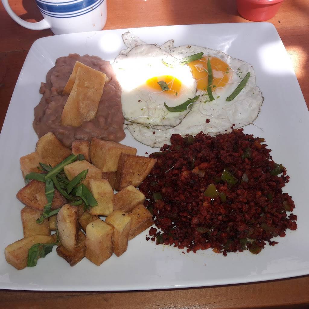 Jurassic Burger y Grill | restaurant | Carretera El Tigre Km13.5, San Marcos, 21188 Ensenada, B.C., Mexico | 016643105211 OR +52 664 310 5211