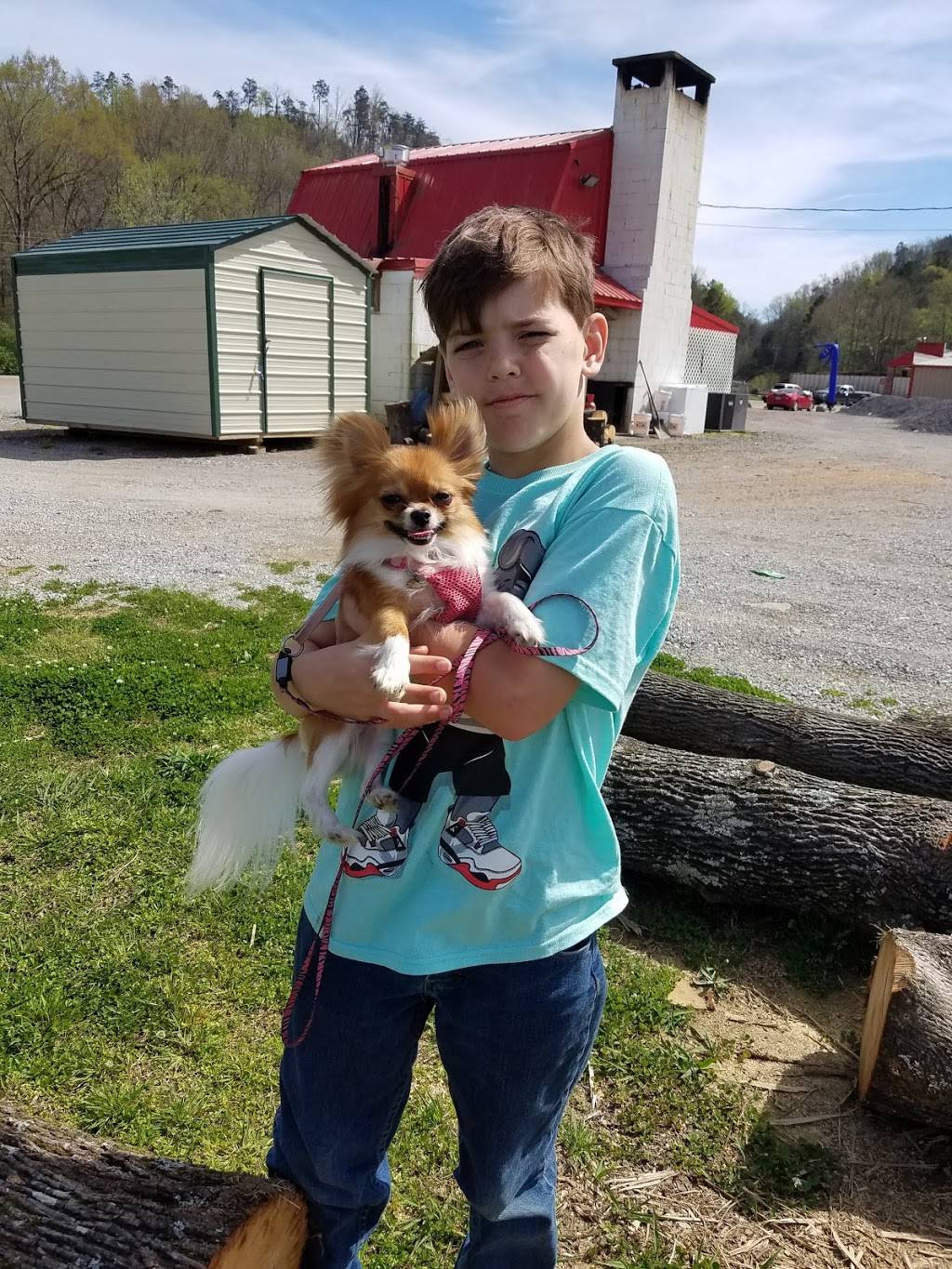 Mikes BBQ | restaurant | Washington St, Oakman, AL 35579, USA | 2056225900 OR +1 205-622-5900