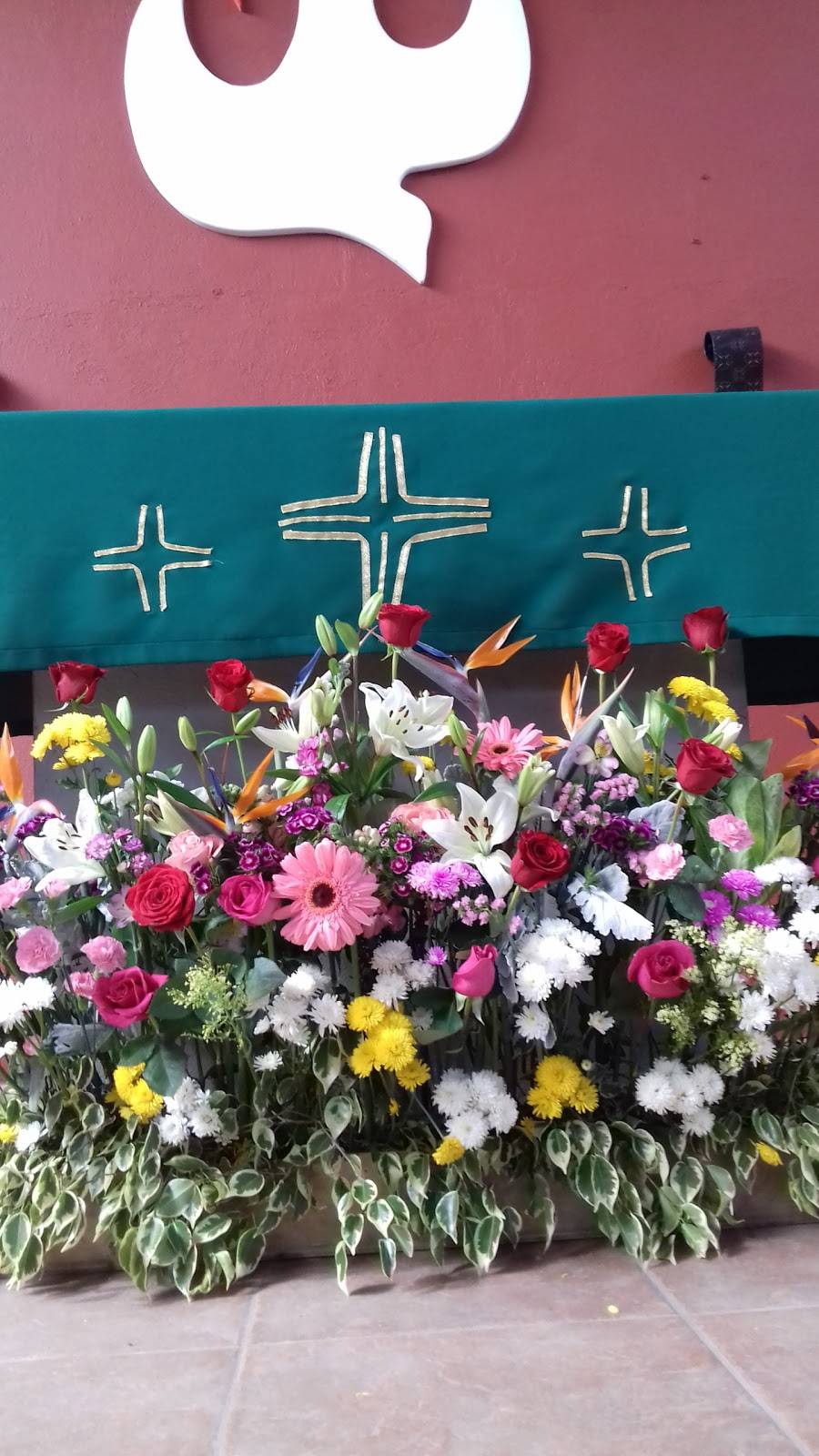 La Comadre Restaurante Tacos | restaurant | Calle Octava 428, Territorio Sur, 22860 Ensenada, B.C., Mexico | 016461740404 OR +52 646 174 0404