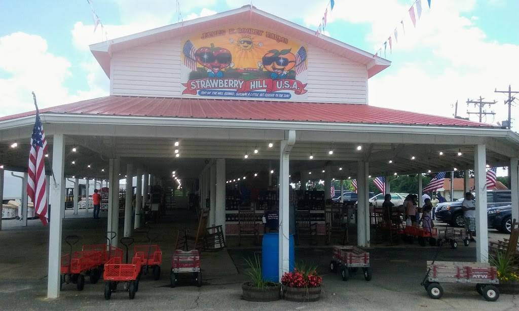 Strawberry Hill Cafe and Ice Cream Parlor | restaurant | 3092 SC-11, Chesnee, SC 29323, USA | 8644614000 OR +1 864-461-4000