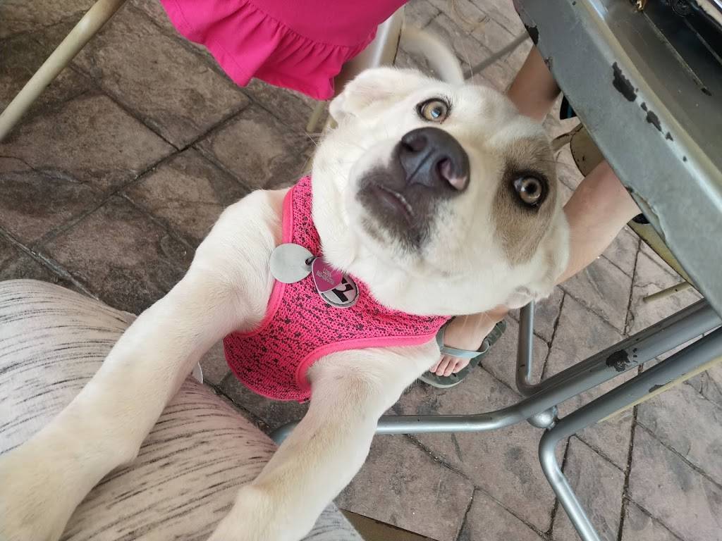 Sonic Drive-In | restaurant | 1007 N Roane St, Harriman, TN 37748, USA | 8658826843 OR +1 865-882-6843