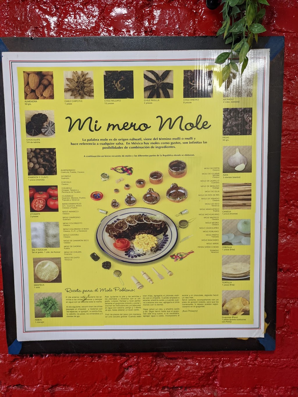 Border Burrito | restaurant | 287 Bedford Ave, Brooklyn, NY 11211, USA | 7187822510 OR +1 718-782-2510