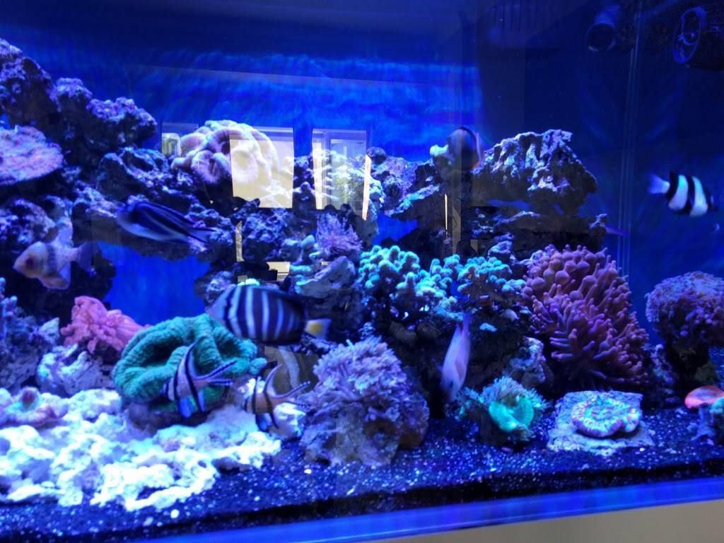 Restaurant Le Cuistot | restaurant | 4605 Boulevard Sainte-Rose, Laval, QC H7R 5S9, Canada | 4506275937 OR +1 450-627-5937