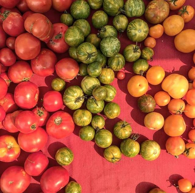 Placerville Public House | restaurant | 414 Main St, Placerville, CA 95667, USA | 5303033792 OR +1 530-303-3792