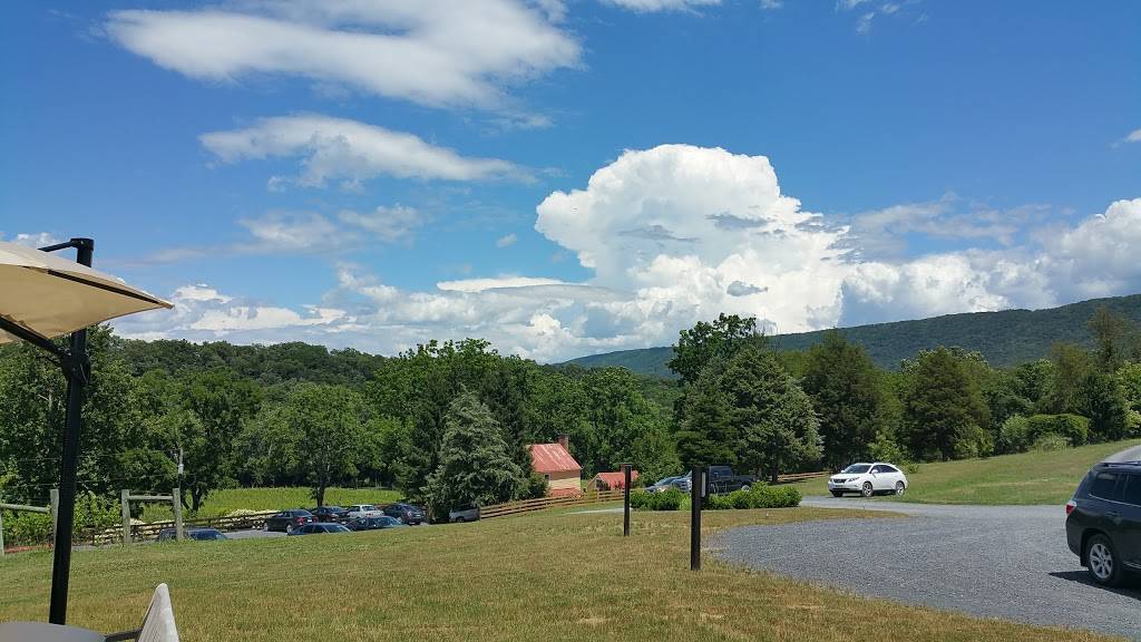 Muse Vineyards | restaurant | 16 Serendipity Ln, Woodstock, VA 22664, USA | 5404597033 OR +1 540-459-7033