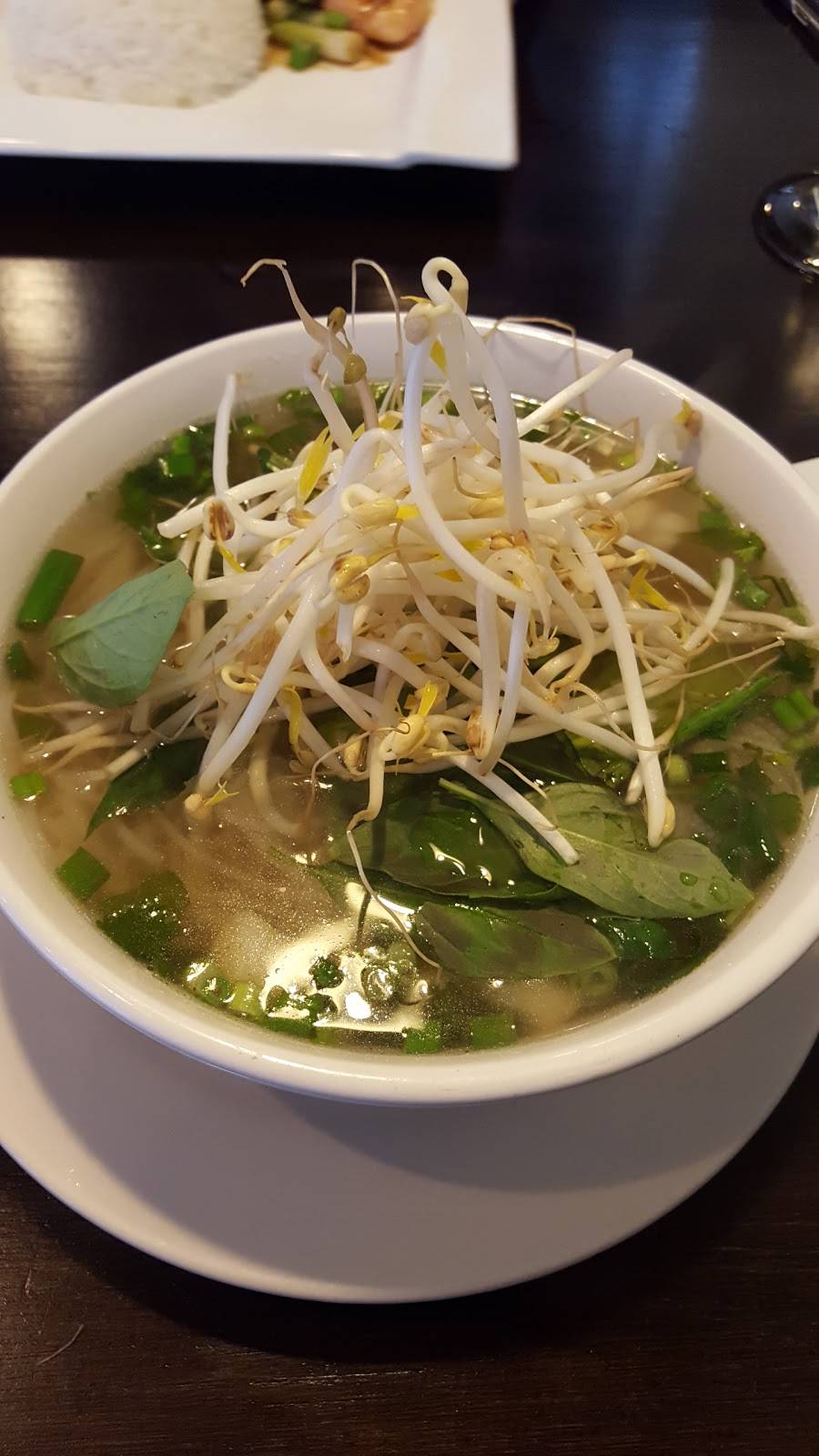 Brandon Asian Cuisine | restaurant | USA Carriage Hills Plaza, 6417 Stirling Rd, Davie, FL 33314, USA | 9549085153 OR +1 954-908-5153