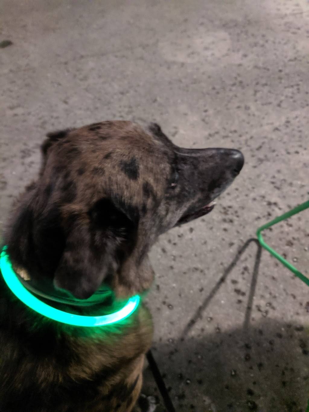 Locals | restaurant | 4399 McCarthy Street, North Charleston, SC 29405, USA | 8434711670 OR +1 843-471-1670