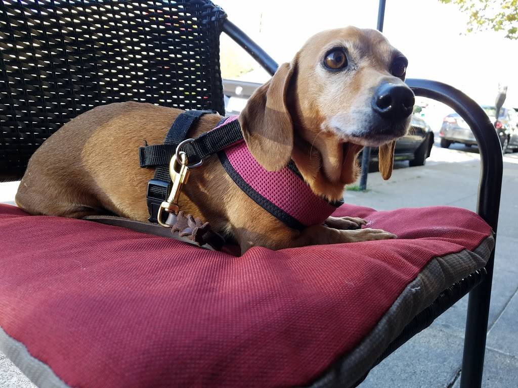 Flavas Jamaican Grill | restaurant | 314 Linden Ave, South San Francisco, CA 94080, USA | 6502449785 OR +1 650-244-9785