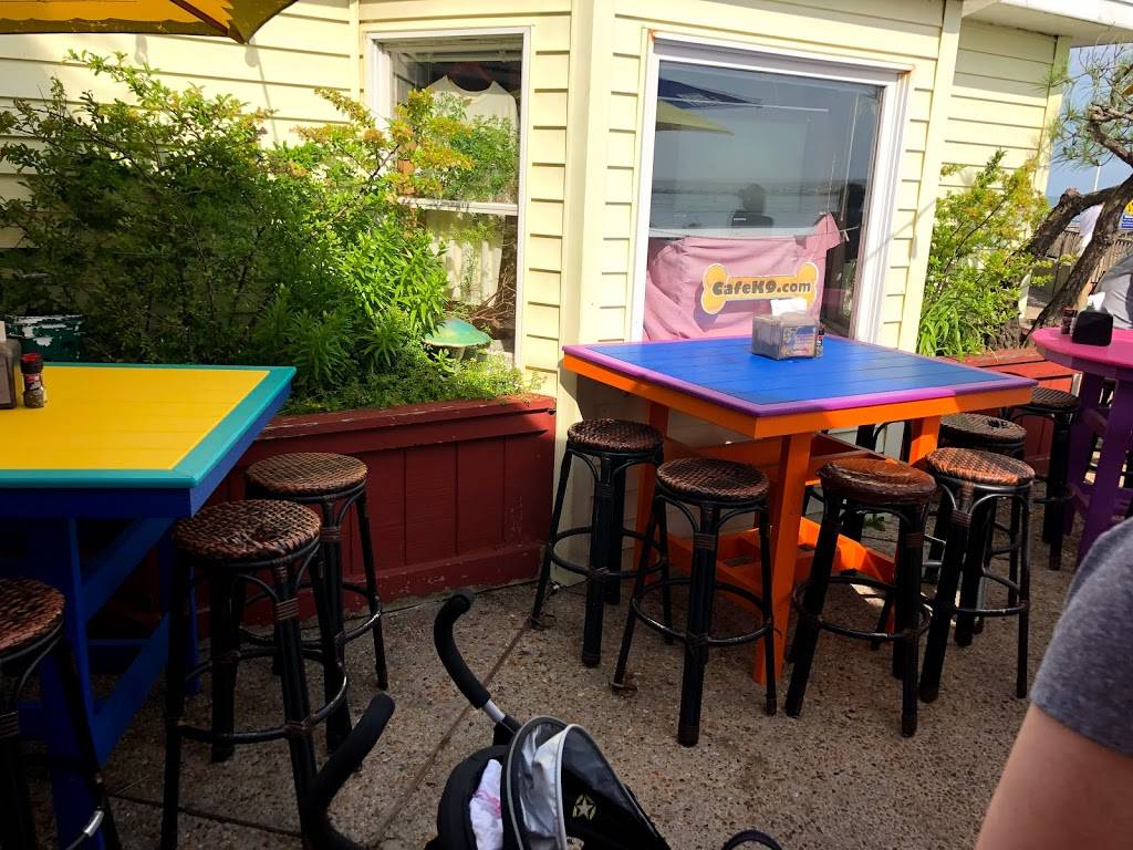 Frog Bar | restaurant | 806 S Atlantic Ave, Ocean City, MD 21842, USA | 4102893764 OR +1 410-289-3764