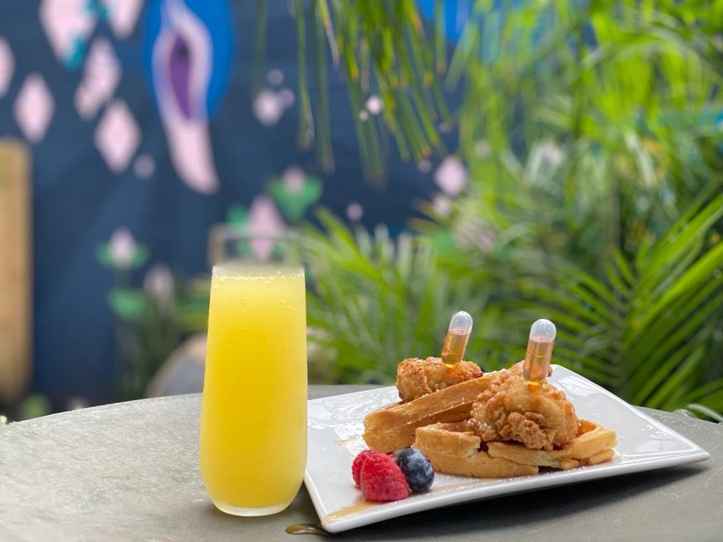 The District | restaurant | 2026 Walnut St, Jacksonville, FL 32206, USA | 9042223442 OR +1 904-222-3442