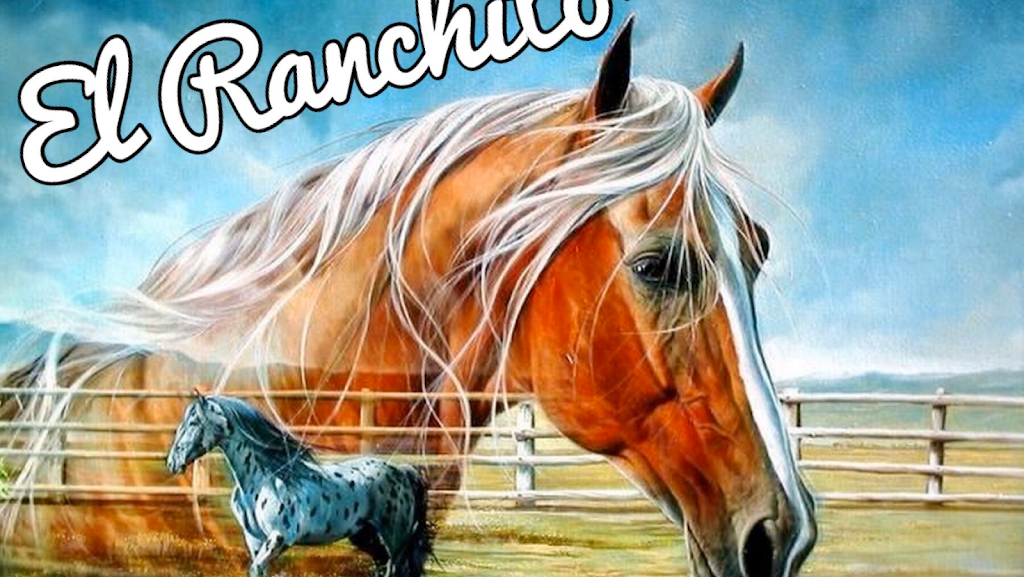 El Ranchito | restaurant | 1029 US-51, Madison, MS 39110, USA | 6016051488 OR +1 601-605-1488
