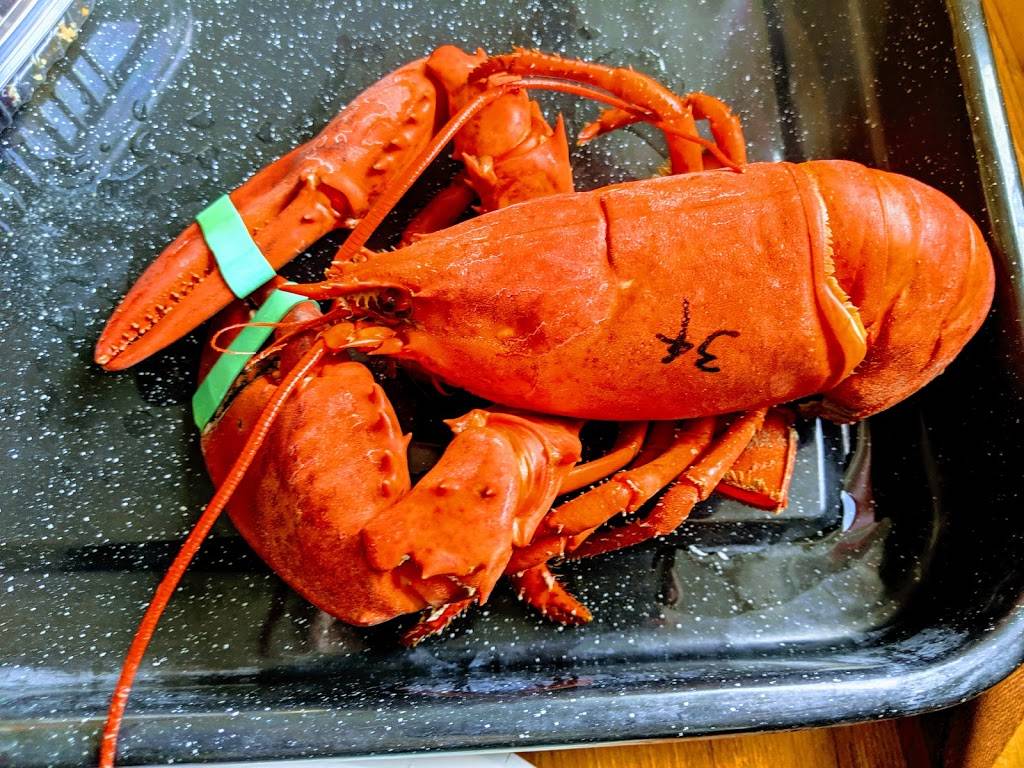 Trenton Bridge Lobster Pound | restaurant | 1237 Bar Harbor Rd, Trenton, ME 04605, USA | 2076672977 OR +1 207-667-2977