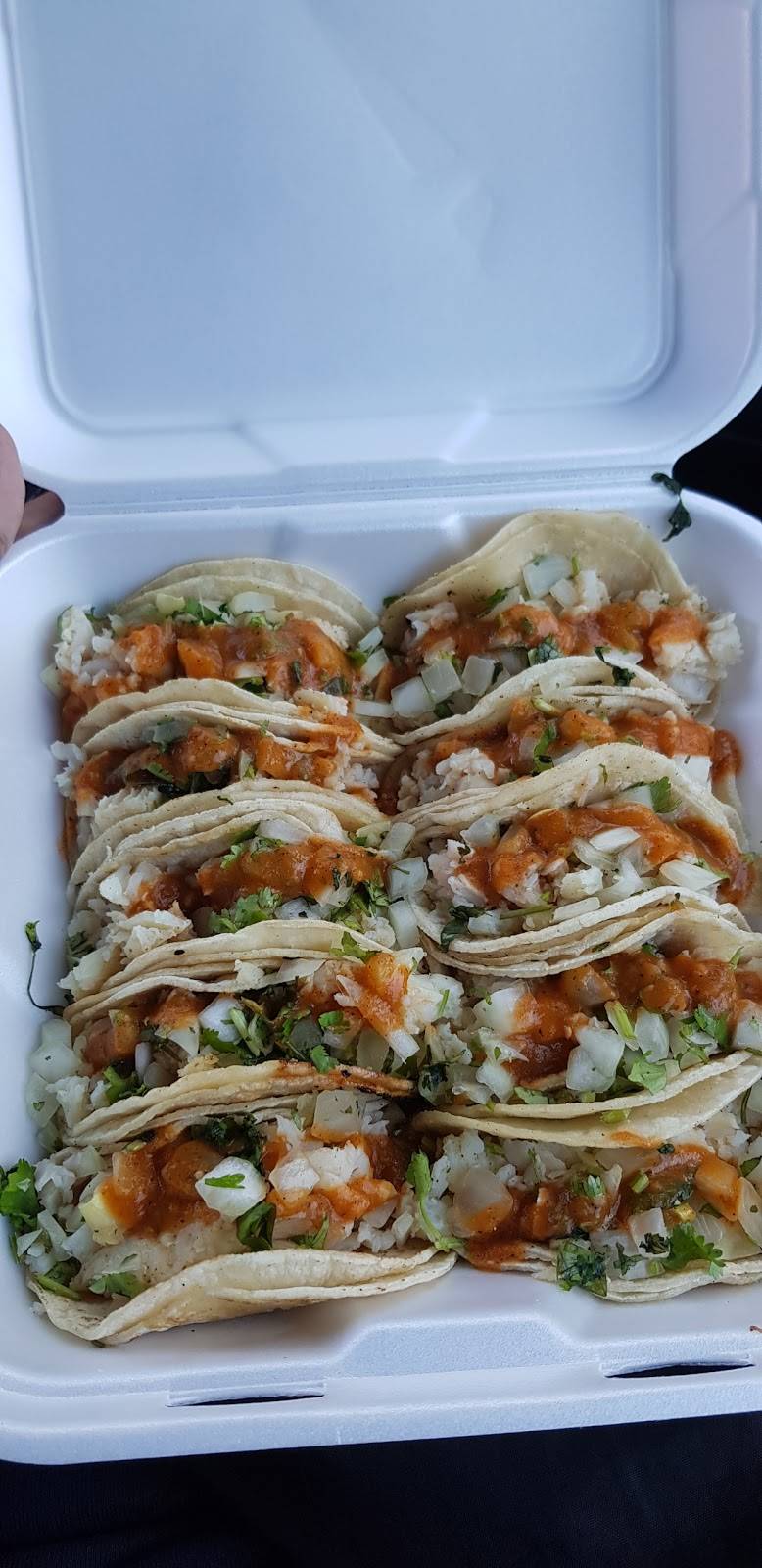 Real Tacoz | restaurant | 22260 La Palma Ave, Yorba Linda, CA 92887, USA | 7146921566 OR +1 714-692-1566