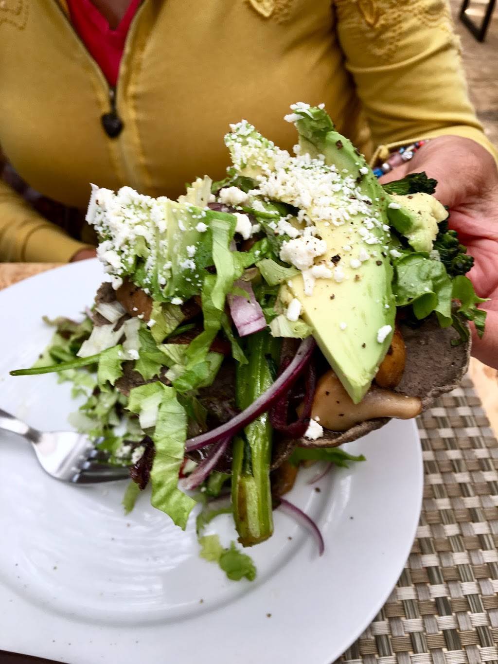 La Flor De La Calabaza | restaurant | km -ensenada, Carretera Tijuana-Ensenada 108, Zona playitas, Quintas Papagayo, 22760 Ensenada, B.C., Mexico | 016461744092 OR +52 646 174 4092