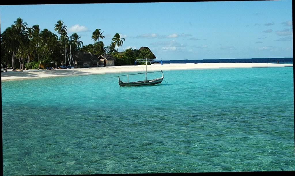 Pupuseria El Salvador Restaurant | restaurant | 175 Belvedere St, San Rafael, CA 94901, USA | 4154567147 OR +1 415-456-7147