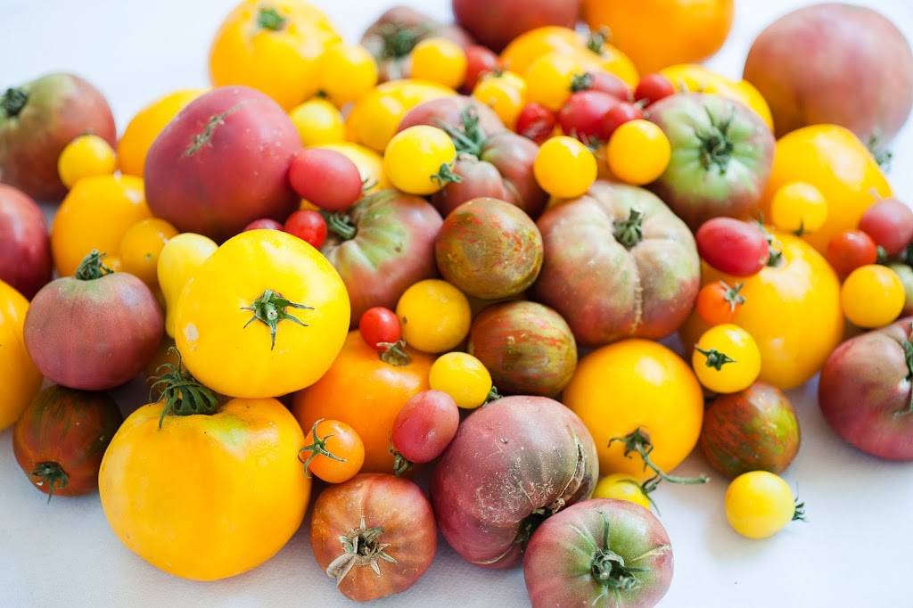 Pizzeria Tra Vigne | restaurant | 1016 Main St, St Helena, CA 94574, USA | 7079679999 OR +1 707-967-9999