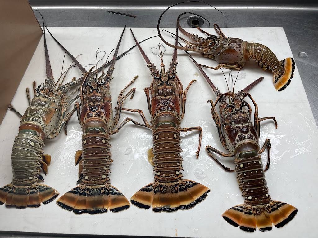 HAM Seafood Express | restaurant | 103 Sunshine Blvd, Tavernier, FL 33070, USA | 3054536091 OR +1 305-453-6091