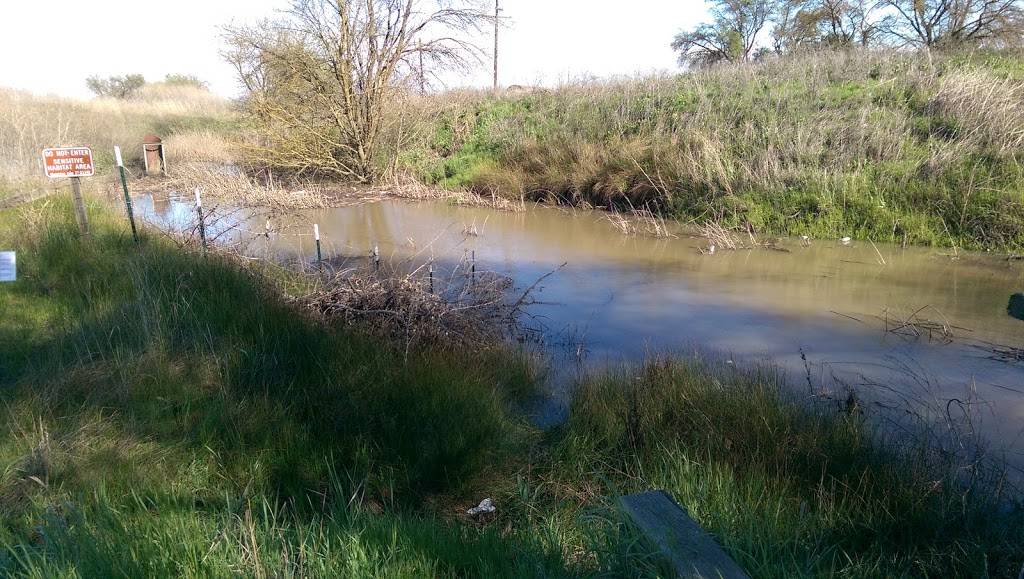 Wildhorse Golf Club | restaurant | 2323 Rockwell Dr, Davis, CA 95618, USA | 5307534900 OR +1 530-753-4900