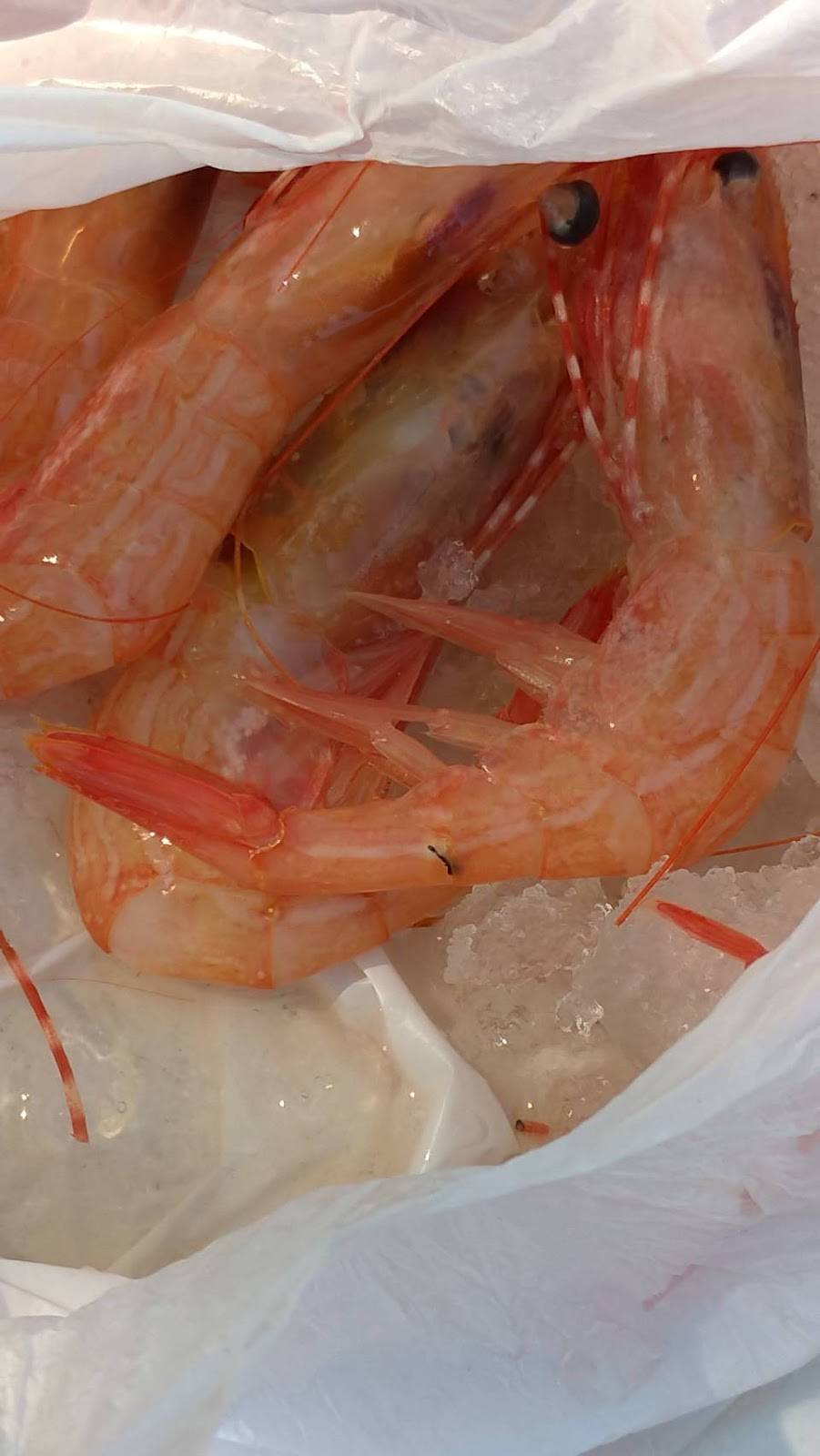 ABS Seafood | meal takeaway | Pier 45, Shed D, 1, San Francisco, CA 94133, USA | 4154010258 OR +1 415-401-0258