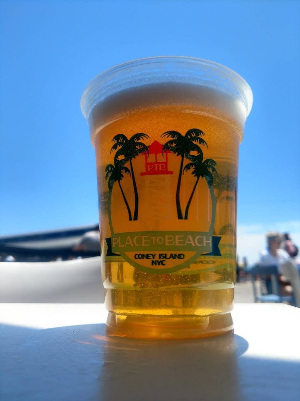 Place to Beach | night club | 1301 Riegelmann Boardwalk, Brooklyn, NY 11224, USA | 7183735862 OR +1 718-373-5862