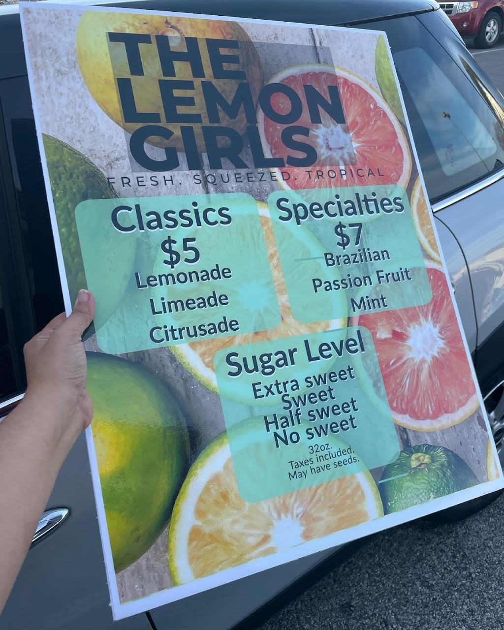 The Lemon Girls | restaurant | 11625 Bandera Rd Bandera, Farmers Market, San Antonio, TX 78250, USA | 2109208798 OR +1 210-920-8798