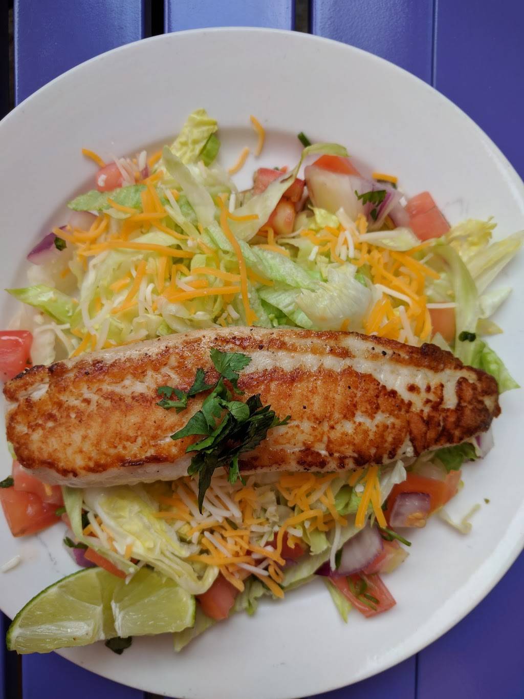 Pura Vida | restaurant | 527 Fairmount Ave, Philadelphia, PA 19123, USA | 2159226433 OR +1 215-922-6433