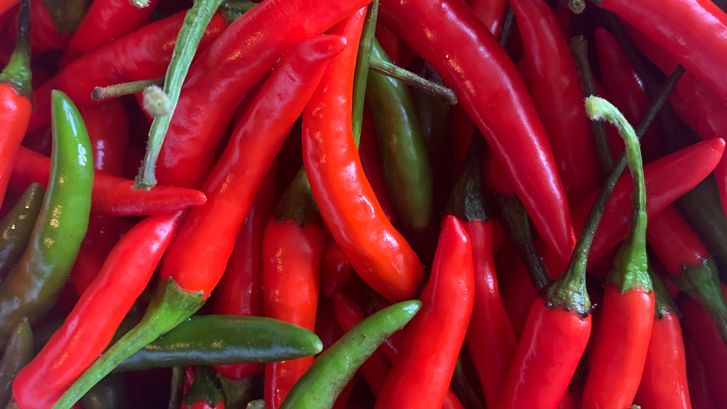 Thai Casa | restaurant | 8503 Broadway St Suite 100, San Antonio, TX 78217, USA | 2108262288 OR +1 210-826-2288