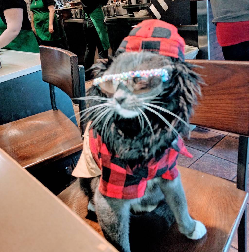 Starbucks | cafe | 20055 Haggerty Rd, Northville, MI 48167, USA | 2483474502 OR +1 248-347-4502