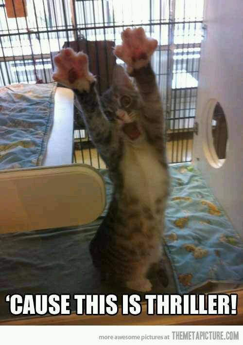 White Castle | restaurant | 20409 James Couzens Fwy, Detroit, MI 48235, USA | 3132724006 OR +1 313-272-4006