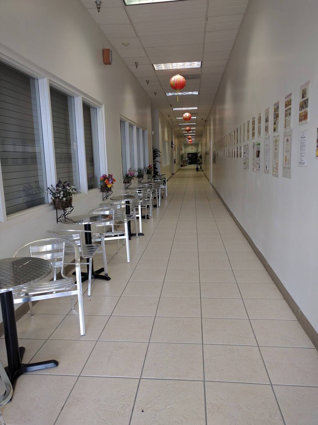 Chinatown | restaurant | 4200 Conroy Rd, Orlando, FL 32839, USA | 4073700039 OR +1 407-370-0039