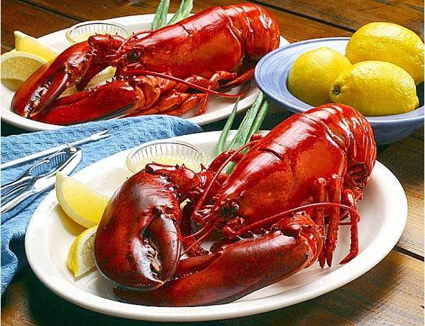Mayflower Seafood Restaurant | restaurant | 3301 Capital Blvd, Raleigh, NC 27604, USA | 9198759007 OR +1 919-875-9007