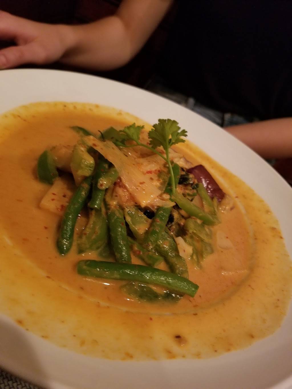 TY Thai Cuisine | restaurant | 112 Tradewynd Dr, Lynchburg, VA 24502, USA | 4342398424 OR +1 434-239-8424